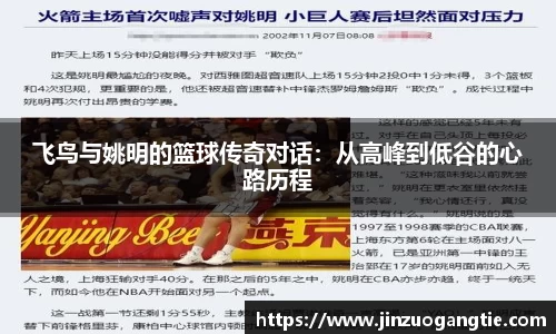 飞鸟与姚明的篮球传奇对话：从高峰到低谷的心路历程
