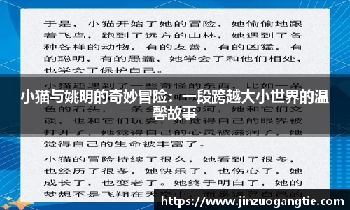小猫与姚明的奇妙冒险：一段跨越大小世界的温馨故事